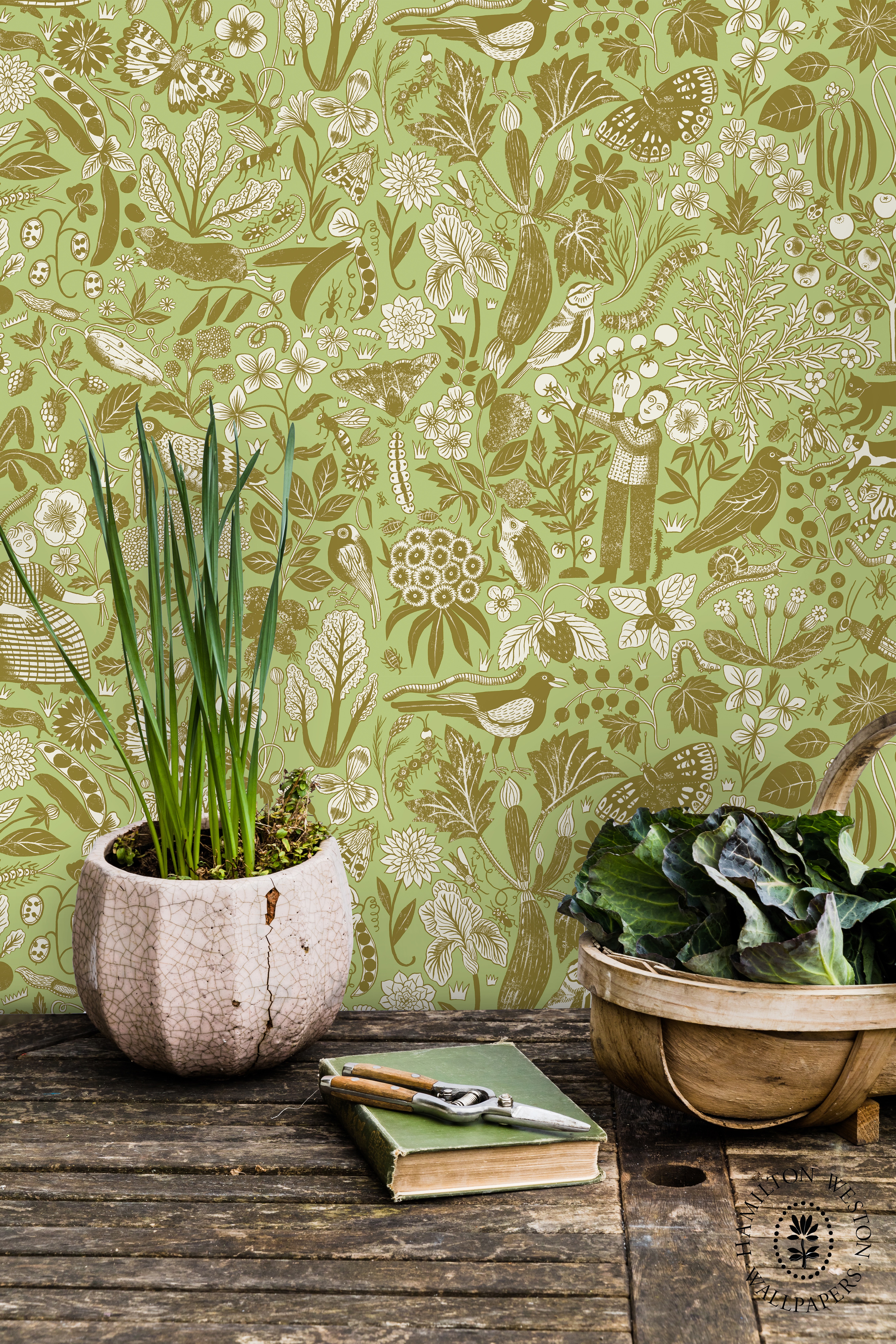 REF: APARC02 - Colour: Broadbean - Photography by Elizabeth Watts